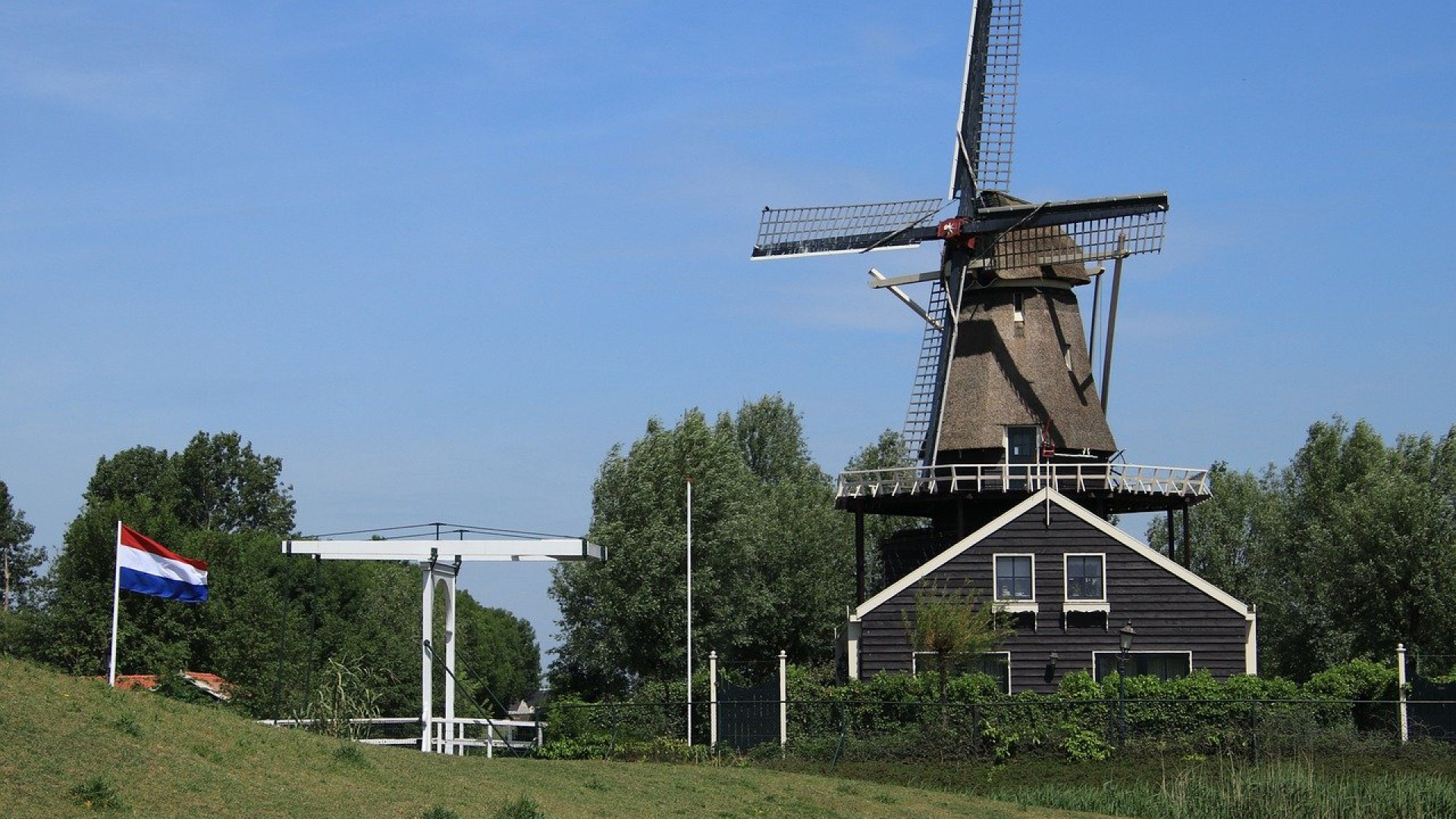 Ce qu’il faut savoir sur le moulin à huile du Partégal