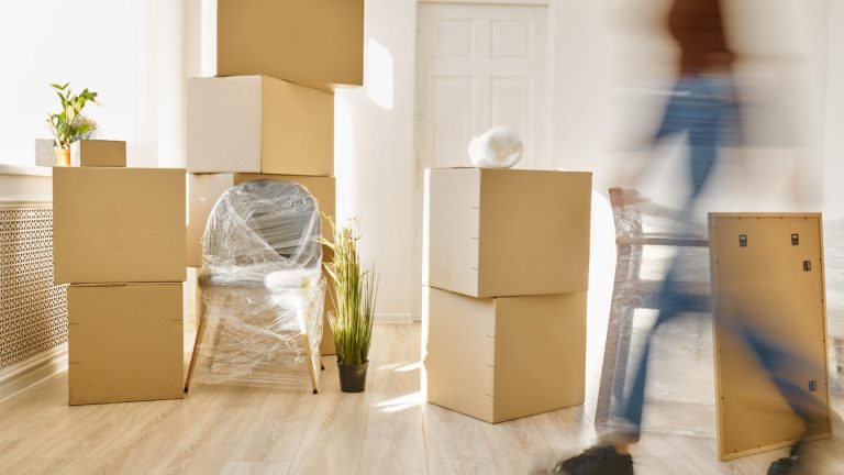 Déménager à Pau : pourquoi choisir un professionnel expérimenté ?