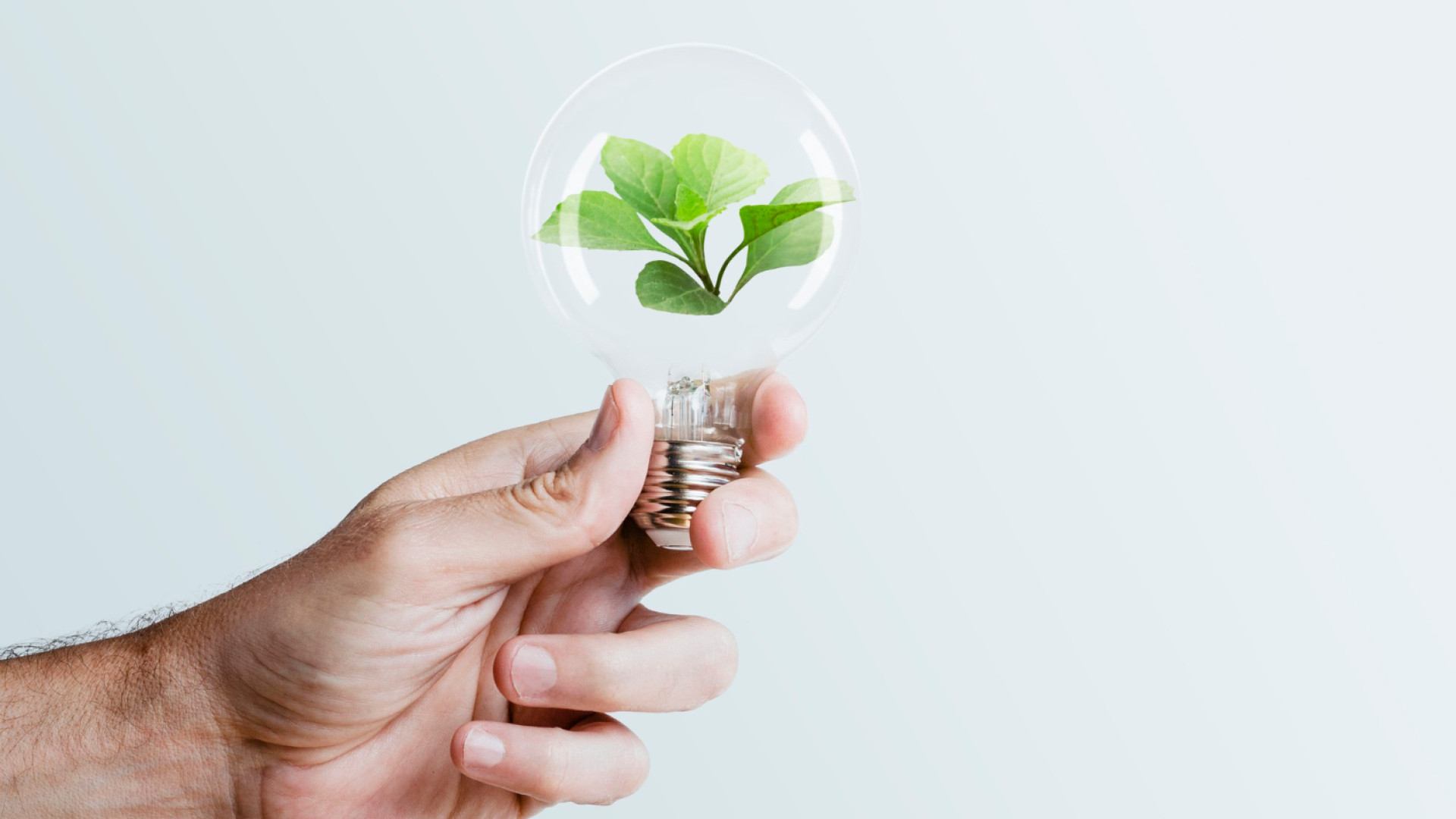 Comment savoir si votre fournisseur d’électricité est vraiment vert ?
